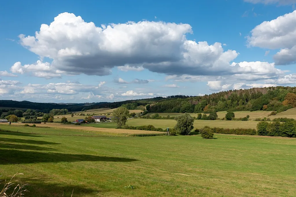 Landschaft östlich von Steinheim-Sandebeck im Naturpark Teutoburger Wald/Eggegebirge bzw. LSG Naturpark