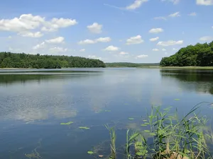 Langsee