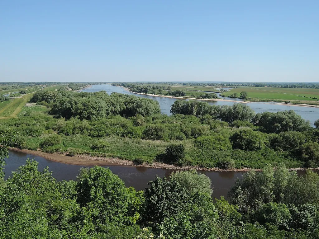 Vom Boizenburger Aussichtsturm "Elwkieker" haben Besucher einen der schönsten Panoramablicke auf die Flusslandschaft Elbe. Von hier aus sieht man den großen Elbstrom, die Sude und die Boize.