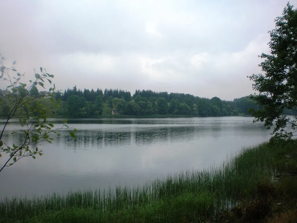 Tauragnas