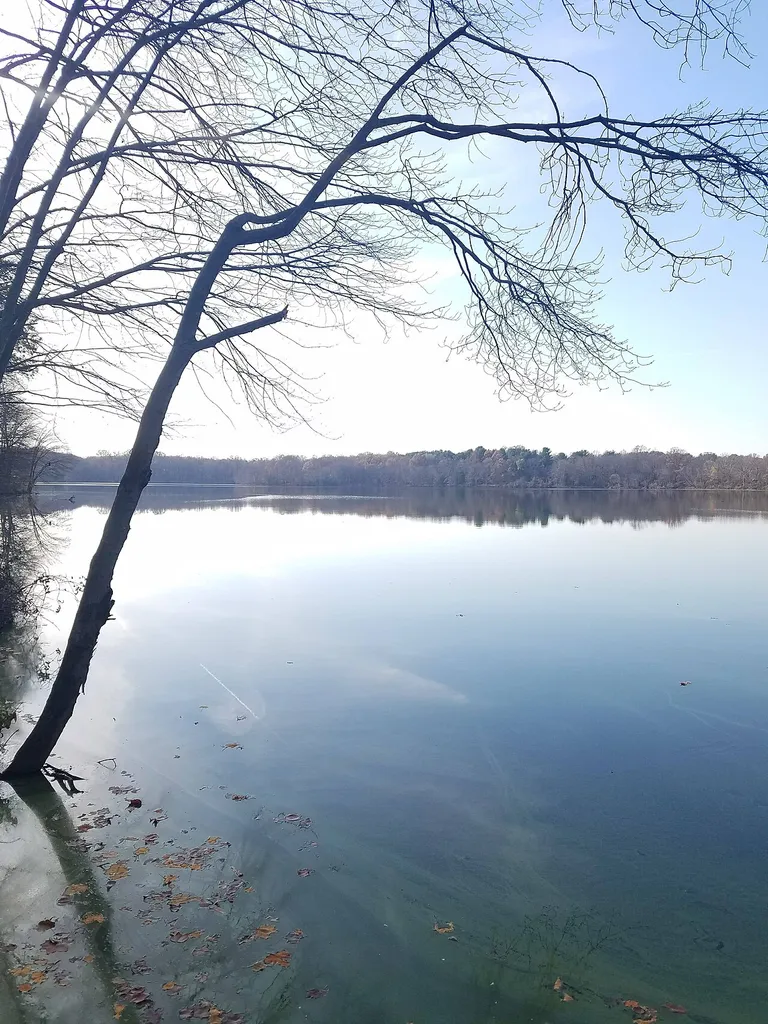 Churchville Reservoir taken from the trail platform at Churchville Nature Center in Bucks County, Pa