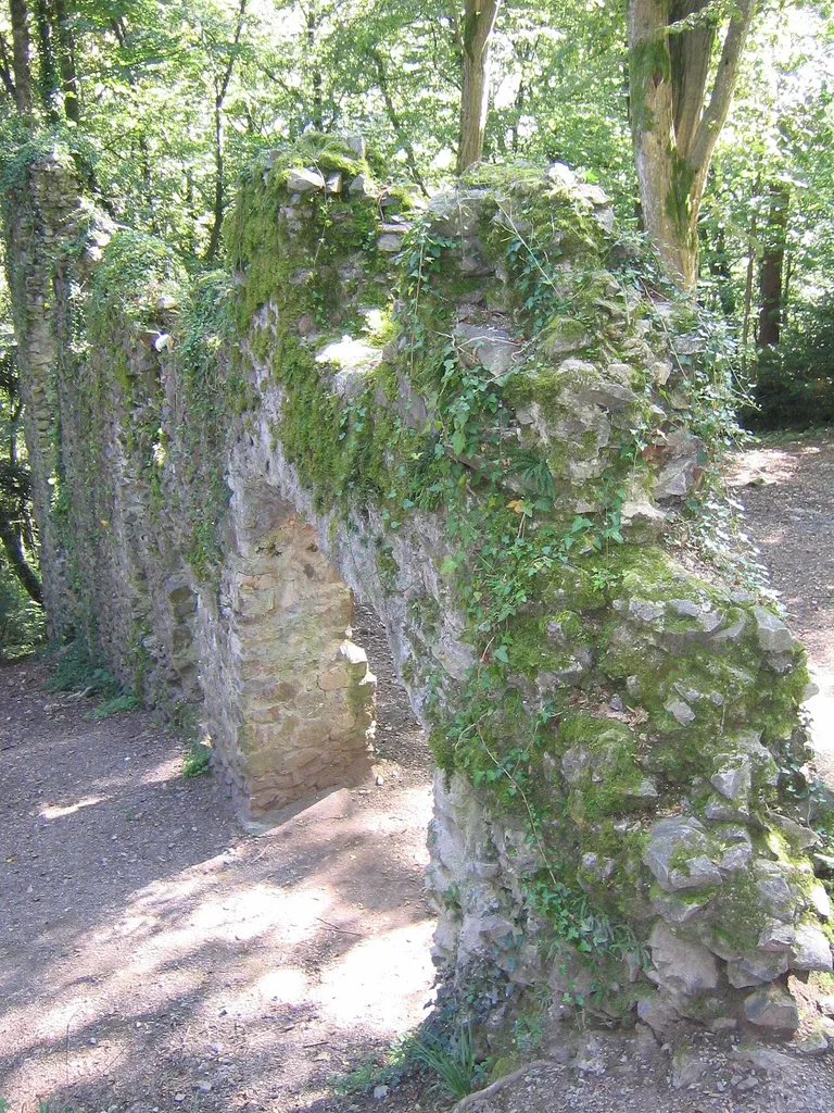 Ruins of castle Wiesneck at Buchenbach, Black Forest