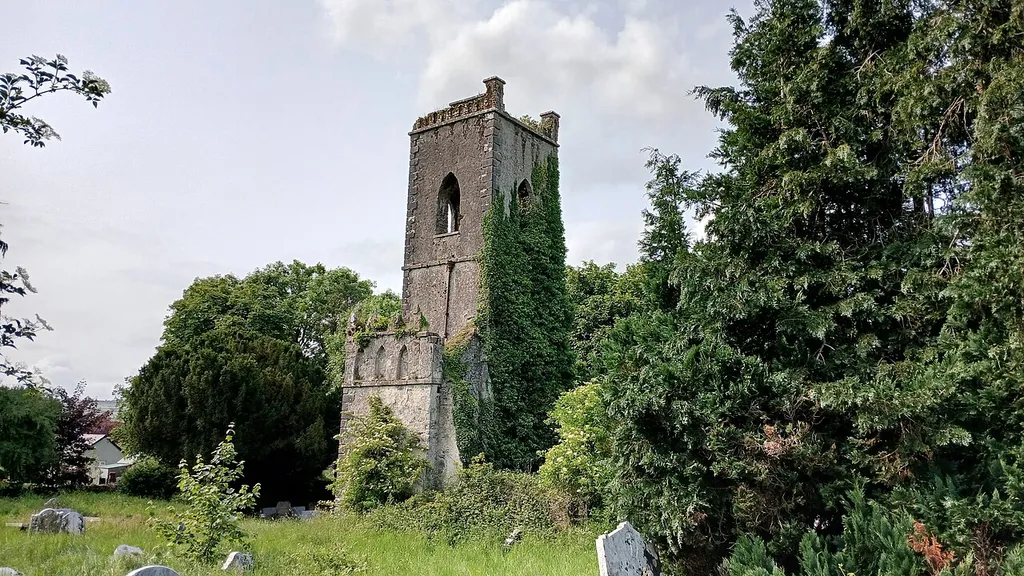 Ballyknockan Church ruin near Leighlinbridge