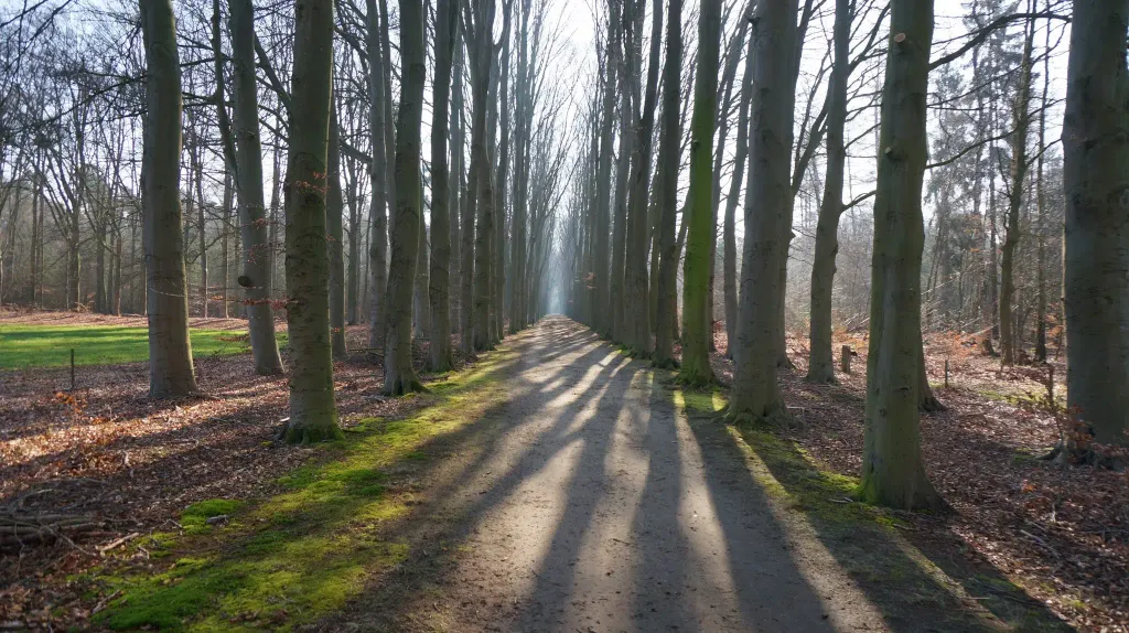 Warnsveld