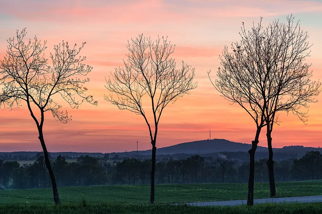 Collmberg und Sender Oschatz bei Sonnenuntergang. Aufgenommen vom Hetzeberg in Oschatz OT Saalhausen