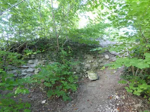 Neuenburg Ruins