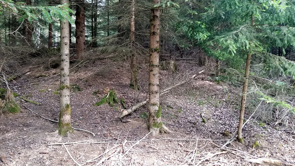 Hallstattzeitliche Grabhügelgruppe Hainstadt (Buchen)
