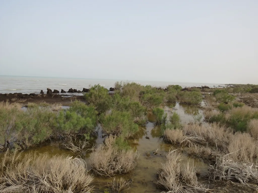 Sarygamysh Lake