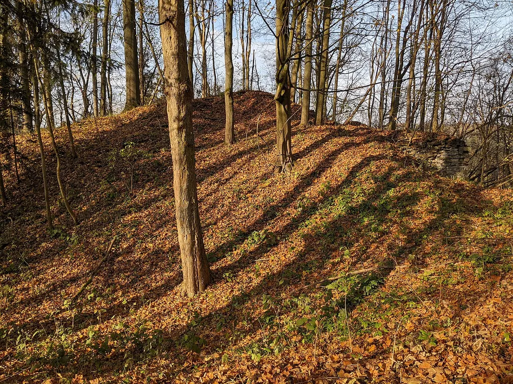 Rýzmburk