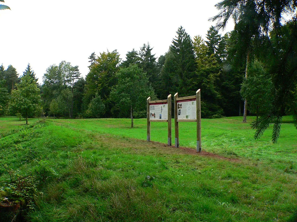 Castra of Würzberg