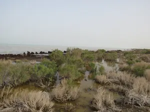 Sarygamysh Lake