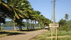 Falaleu