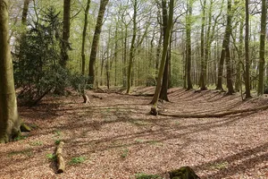 Ferdinandsburg