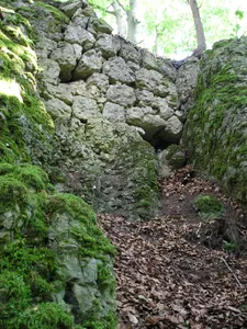 Burgstall Schlossberg (Haidhof)