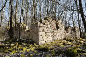 Burgruine Rammertshof