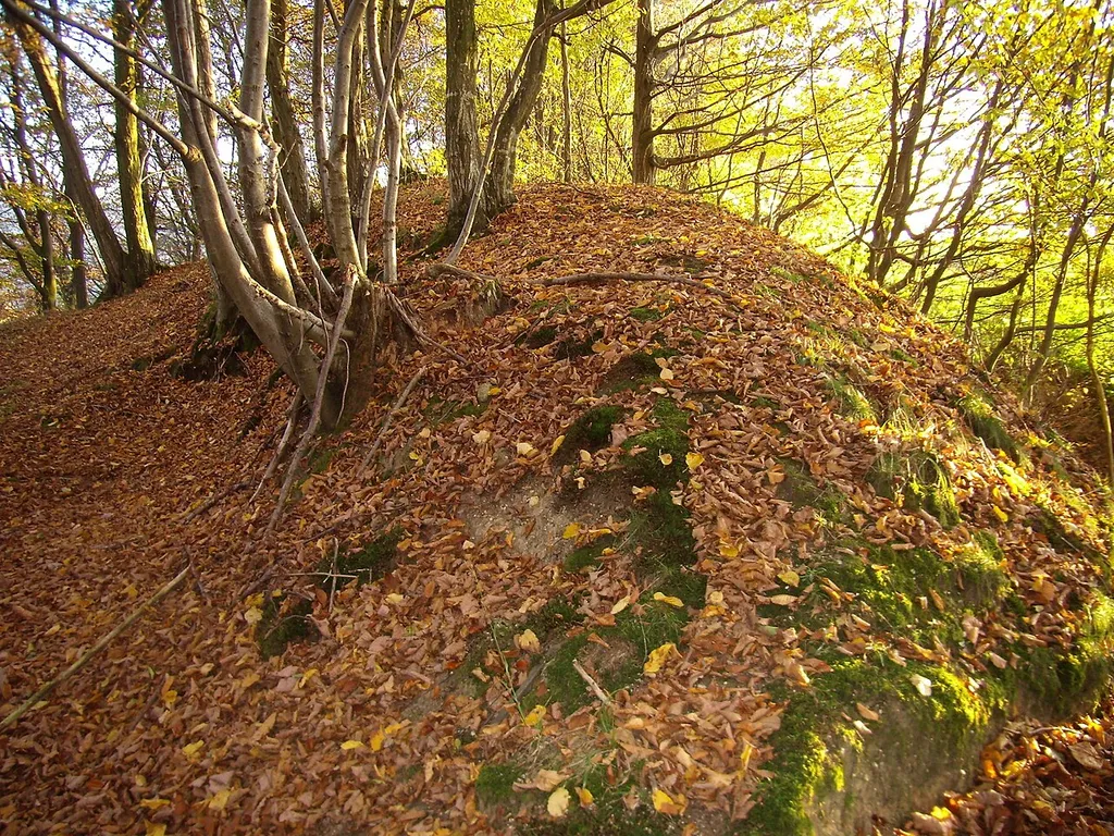 Schildwall des Burgstalls Kosenburg
