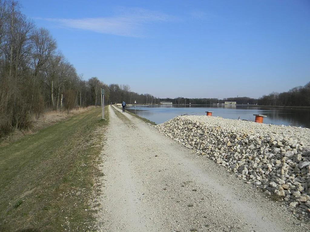 Nauwald am Flussdeich der Donau