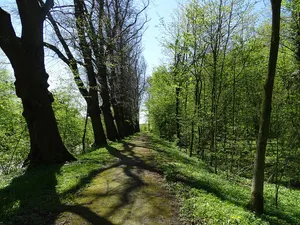 Burg Kniphausen