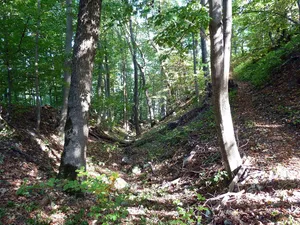 Burg Spitzenberg