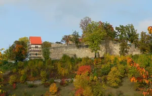 Burg
