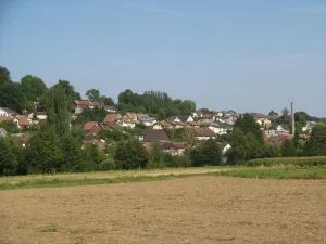 Anglikon