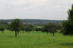 Kirdorfer Feld bei Bad Homburg
