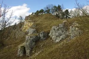 Rauhe Burg östlich Ebermergen