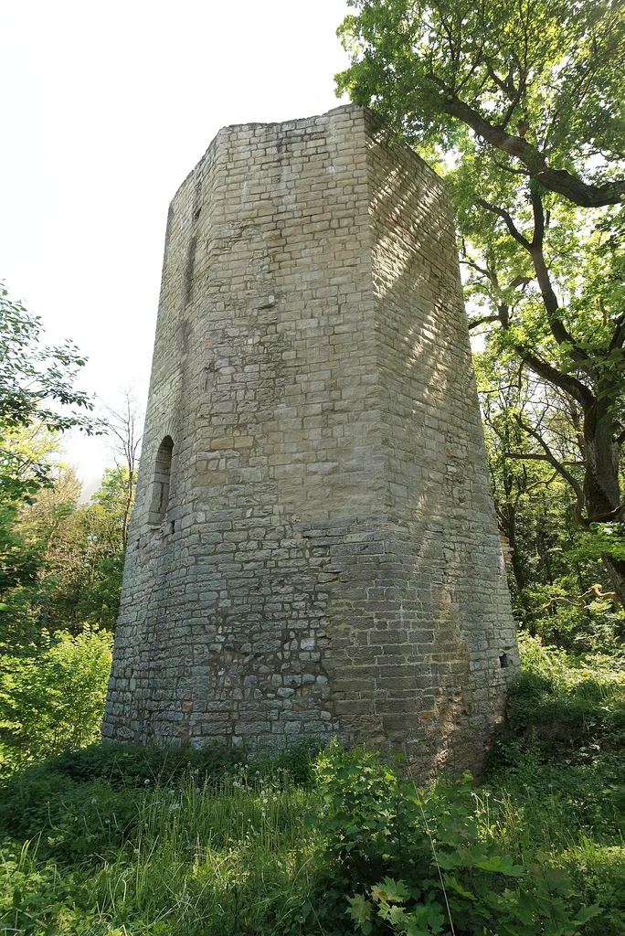 Burgruine Ebermannsdorf - Ansicht des achteckigen Wohnturmes