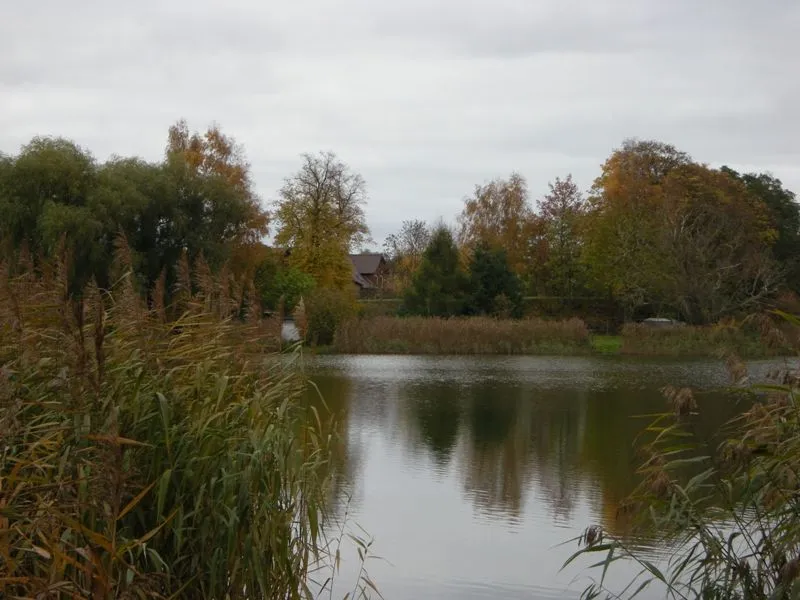Blick auf die Halbinsel mit dem Burgwall
