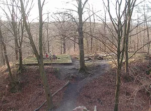Burg Dischingen