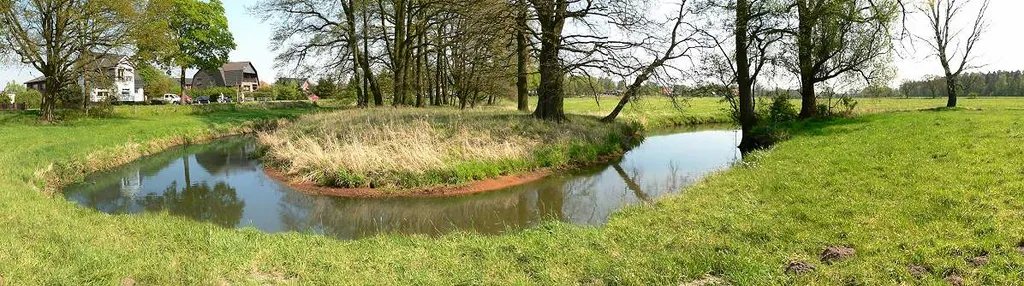 Flussschleife der Aller in Dannenbüttel an der B 188 zwischen Gifhorn und Wolfsburg (Bereich seit 2014 im Naturschutzgebiet „Allertal zwischen Gifhorn und Wolfsburg“)
