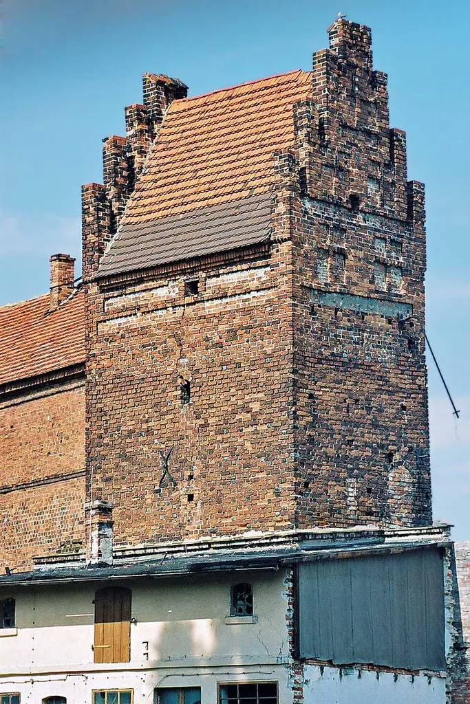 Zamek w Górze