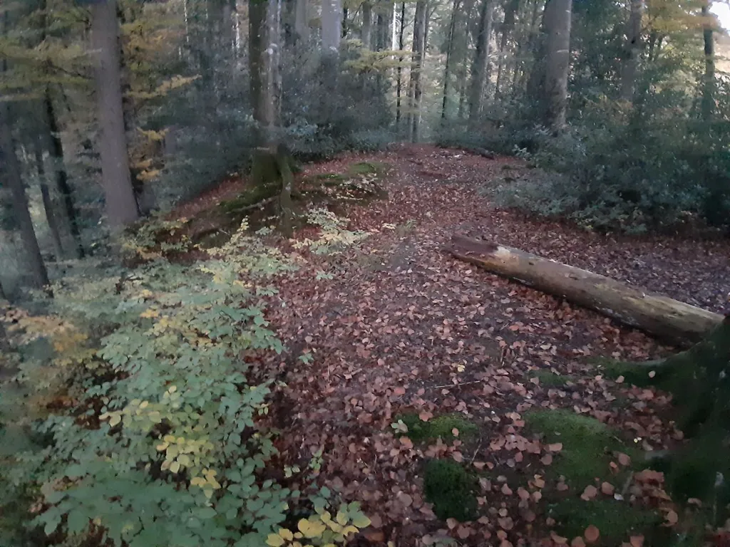 Burgstelle Hadlikon bei Dürnten (Schweiz): Halsgraben