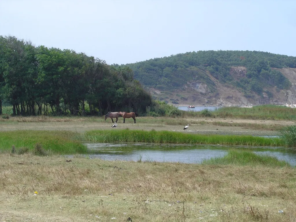 River Veleka, forest reserve in Strandzha, Bulgaria