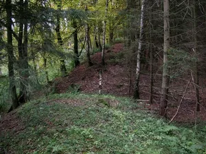 Burgwall Janow