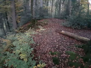 Burgstelle Hadlikon