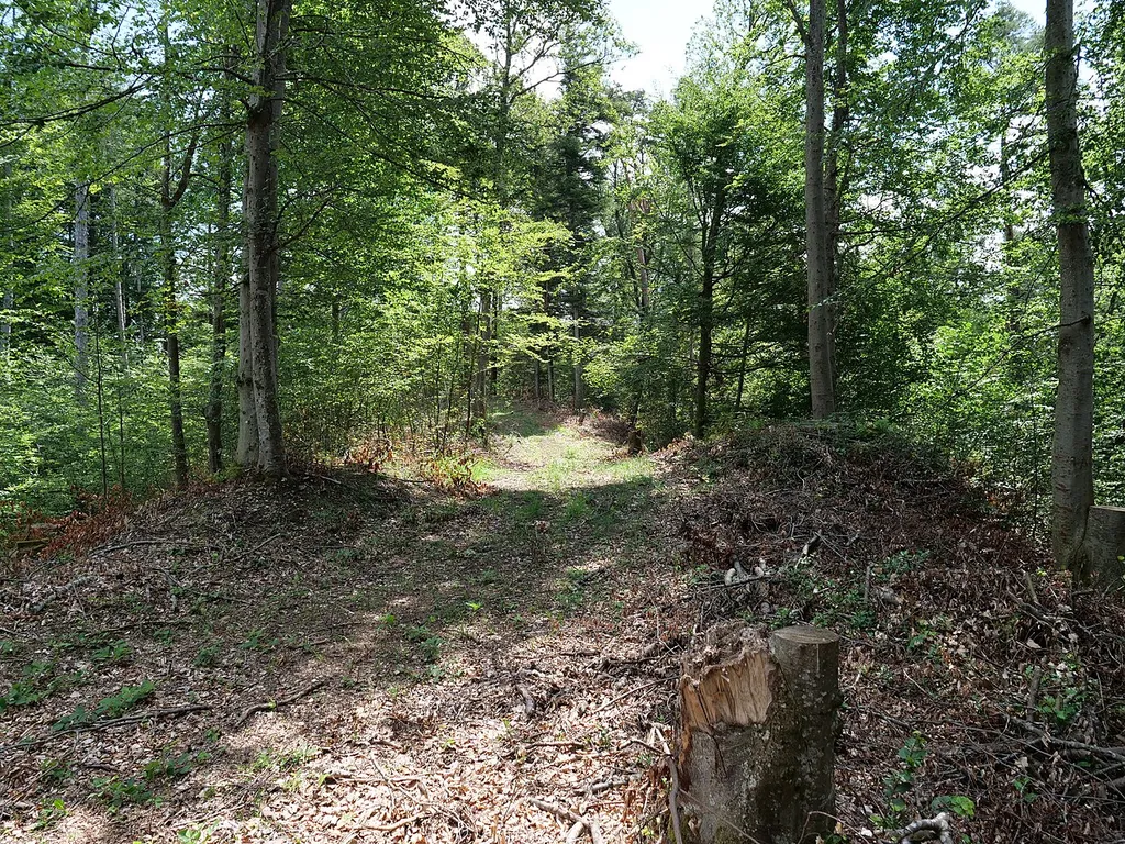 Die Burgstelle Herten ist im Gelände erkennbar, Mauerreste sind keine sichtbar.