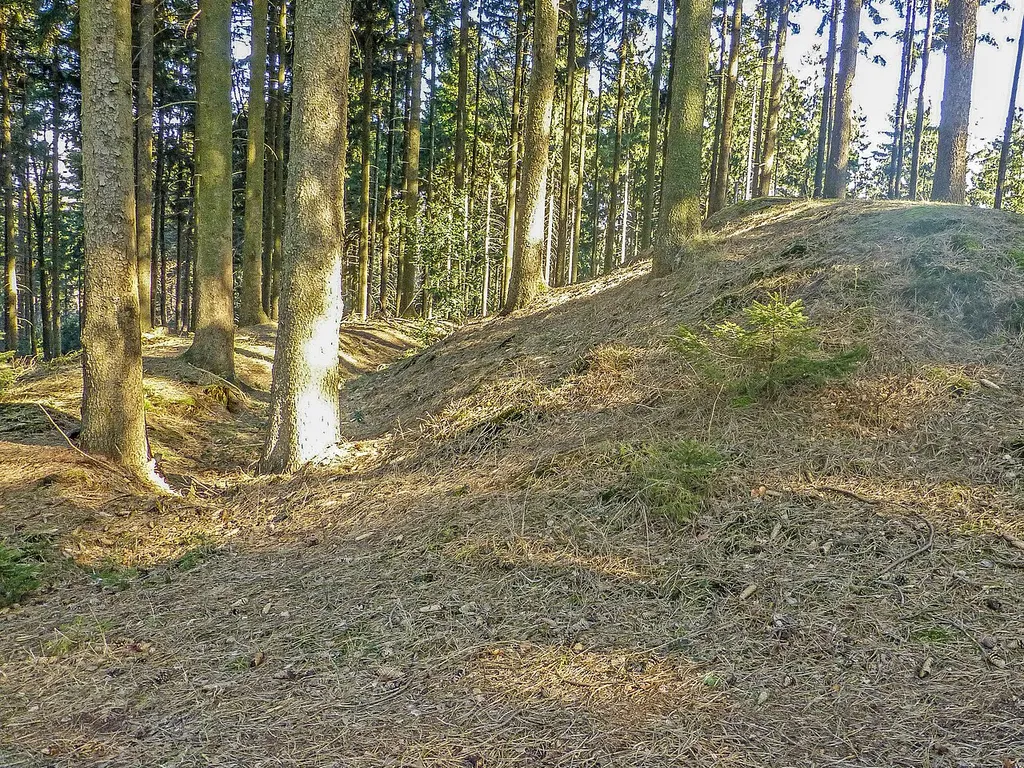 Bardenburg, Der Westwall des Kernwerks von Süden