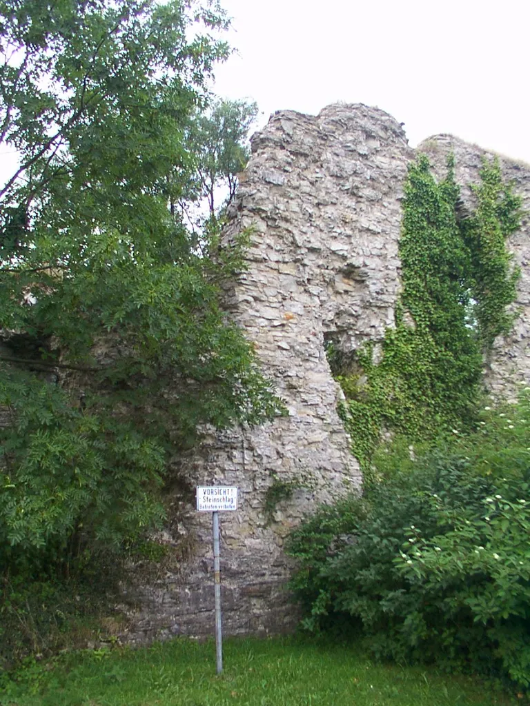 Schlangen: Burgruine in Kohlstädt.