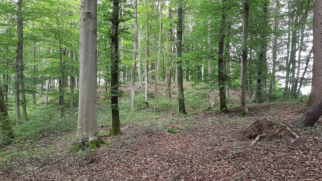 Haus bei Törring (Tittmoning), Burg Törring, Wallanlage der Vorburg.