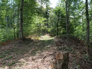 earthwork and castle site