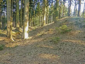 Bardenburg