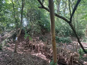 Chichester Dyke, Broyle earthwork, section extending 430yds (393m) through East Broyle Copse, to railway, and earthwork extendin