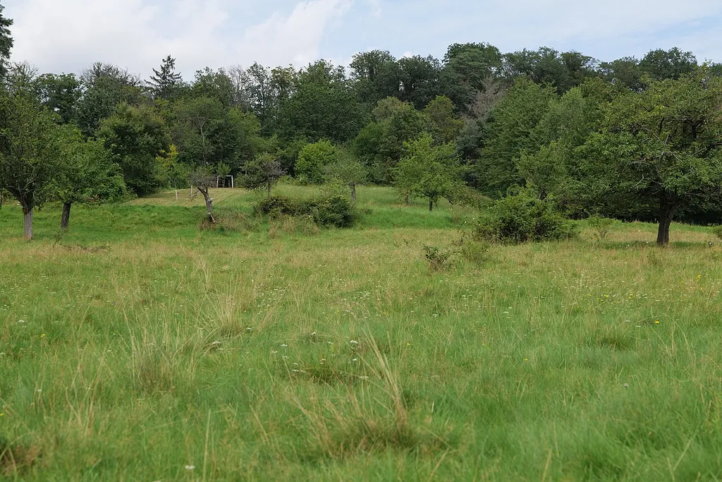 Landschaftsschutzgebiet Kirdorfer Feld bei Bad Homburg‎.