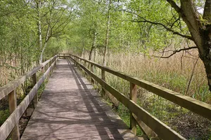 Feuchtgebiet internationaler Bedeutung Steinhuder Meer (Landkreis Schaumburg)