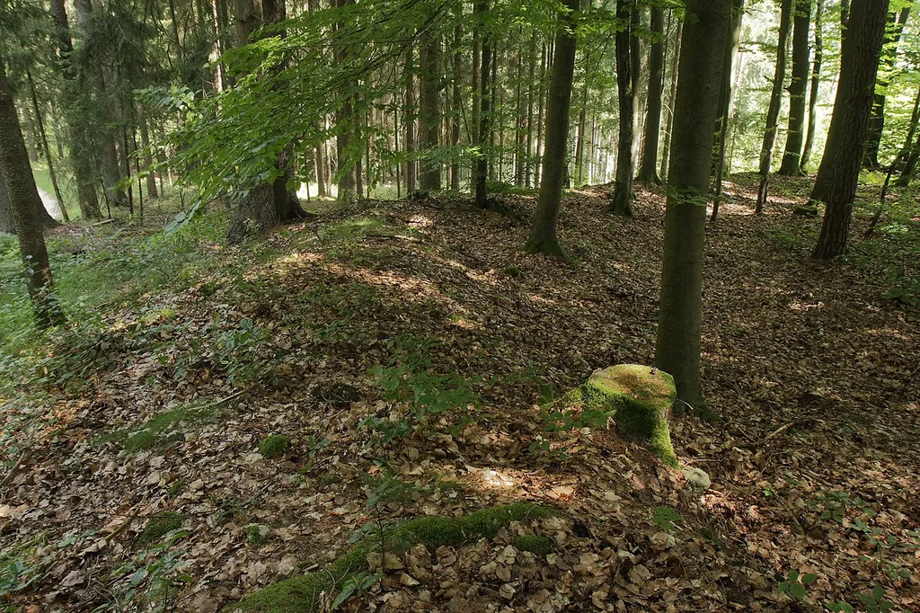 Burgstall Theuern - Halbrunder Wall am Burgstall (August 2013)