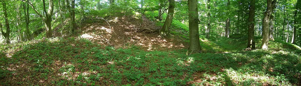 Ansicht der Kernburg der Burg Plankenstein