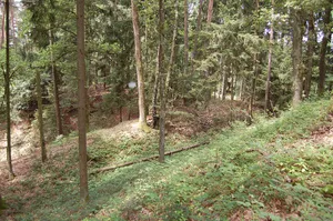 Schloßbühel Schwarzgrub