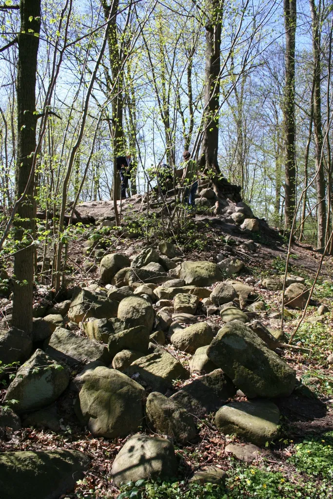 Remains of Linau Castle