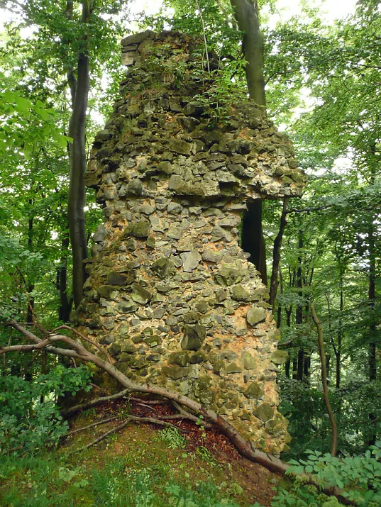 Burgruine Brackenburg mit Mauerrest